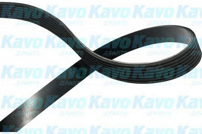 KAVO PARTS dmv9100 -  Поликлиновой ремень
